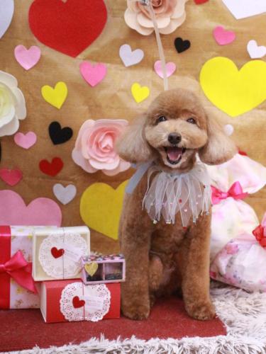 20230223バディくん